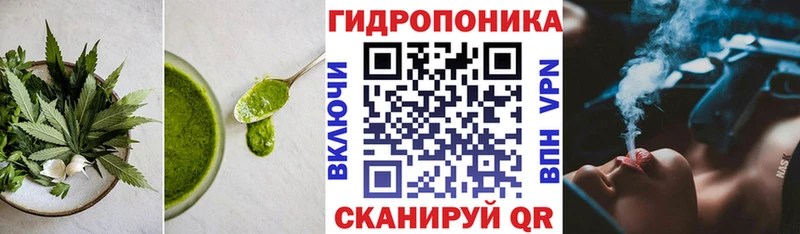 Canna-Cookies марихуана  Купить где  Камбарка 