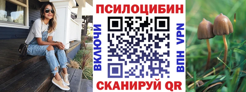 Галлюциногенные грибы MAGIC MUSHROOMS  Купить закладки  Камбарка 